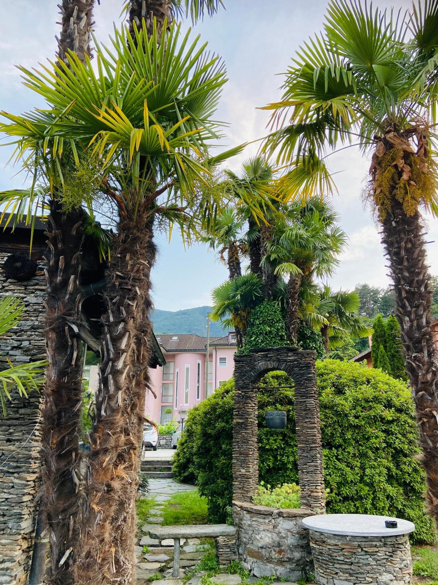 Albergo Pensione San Giorgio Losone Luaran gambar